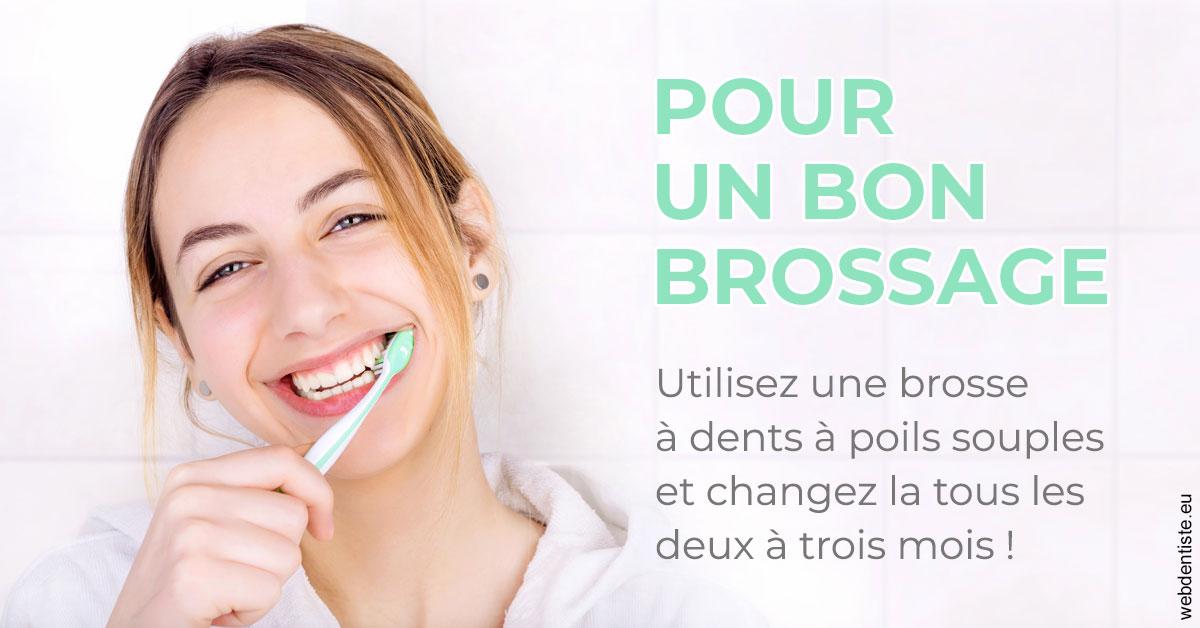 https://dr-bordes-maryse.chirurgiens-dentistes.fr/Pour un bon brossage 2
