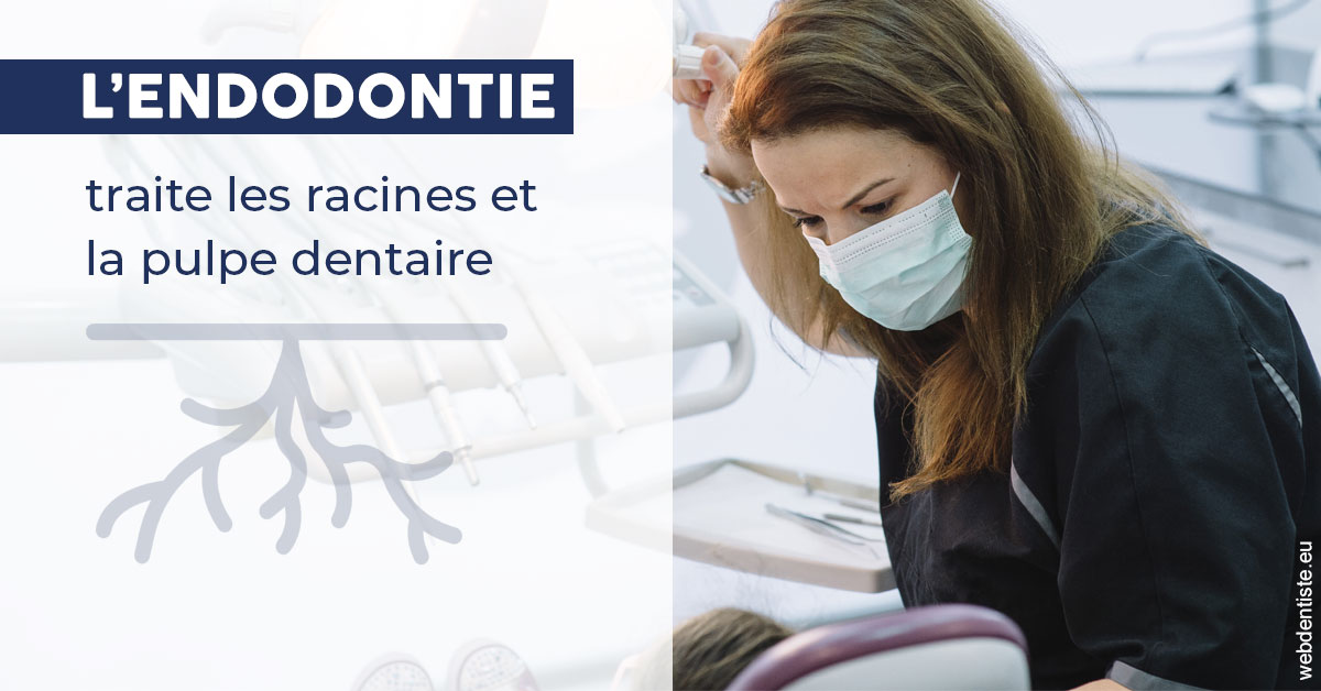 https://dr-bordes-maryse.chirurgiens-dentistes.fr/L'endodontie 1