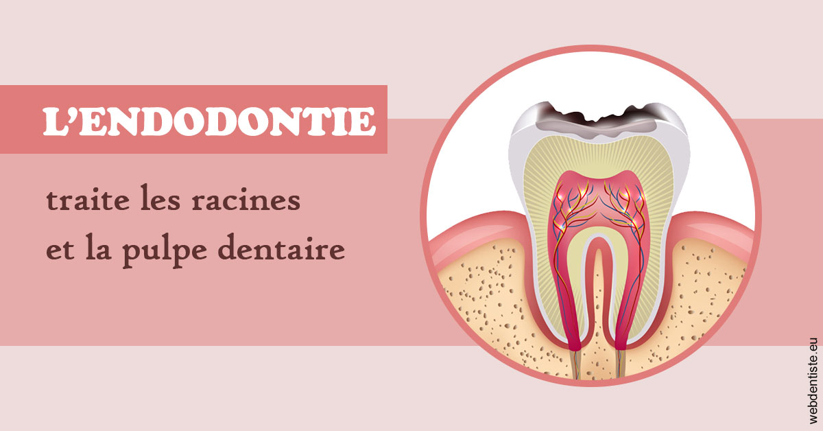 https://dr-bordes-maryse.chirurgiens-dentistes.fr/L'endodontie 2