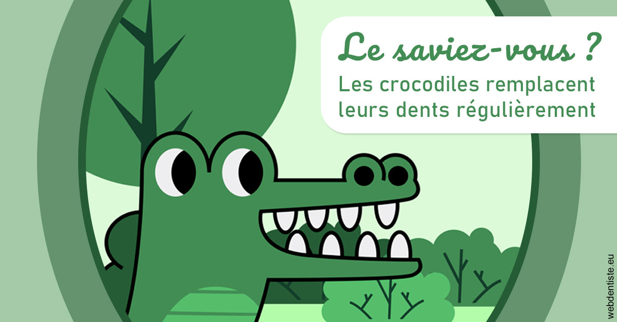https://dr-bordes-maryse.chirurgiens-dentistes.fr/Crocodiles 2