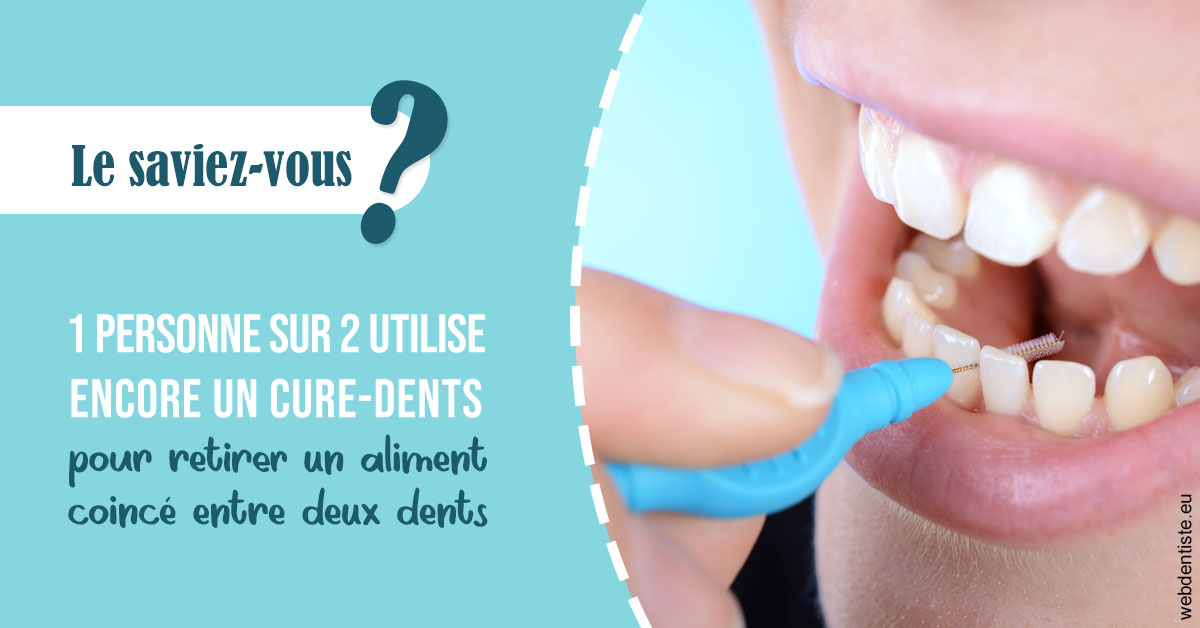 https://dr-bordes-maryse.chirurgiens-dentistes.fr/Cure-dents 1