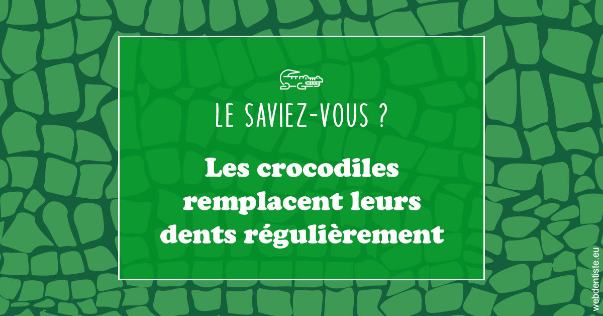 https://dr-bordes-maryse.chirurgiens-dentistes.fr/Crocodiles 1